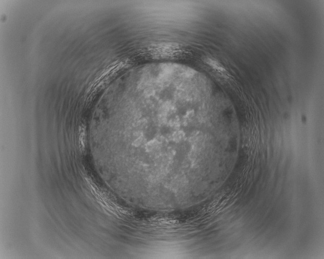 X0000057100648200509231717