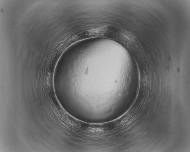 X0000057100649200509231717