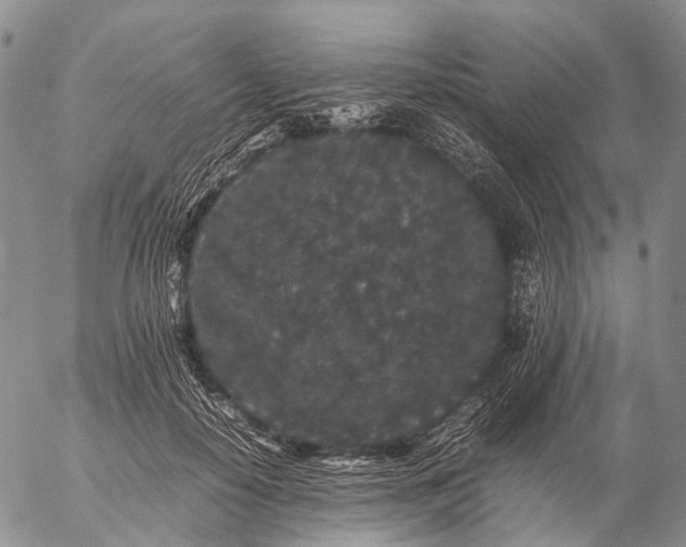 X0000057100650200509231717