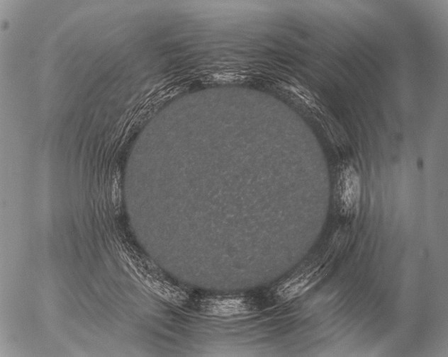 X0000057100651200509231717