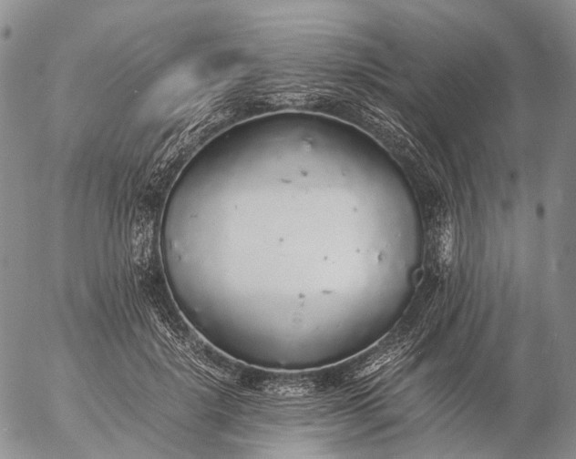 X0000057100652200509231717