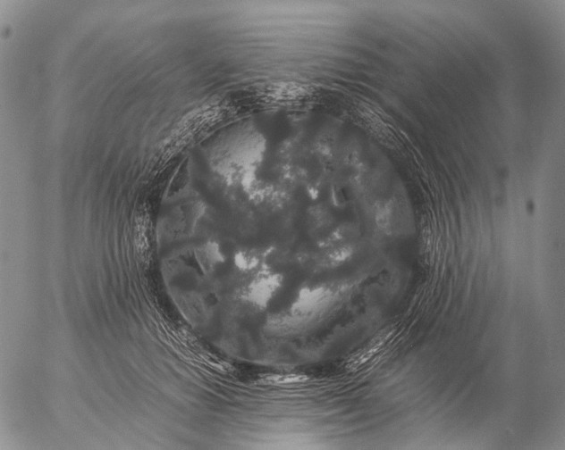 X0000057100654200509231717