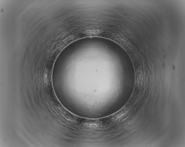 X0000057100655200509231717