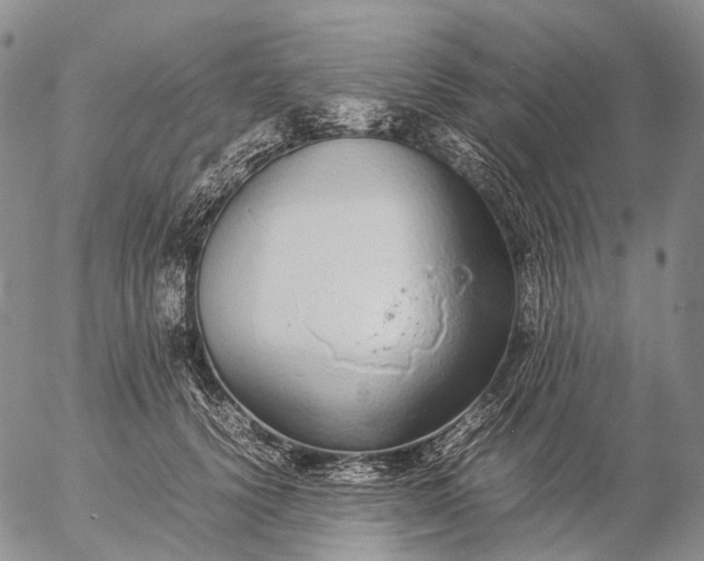 X0000057100656200509231717