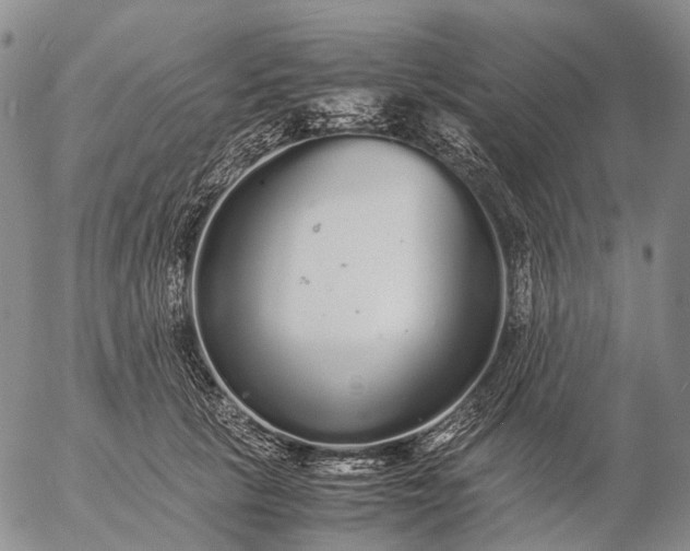 X0000057100657200509231717