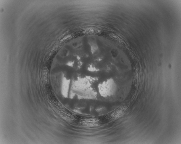 X0000057100659200509231717