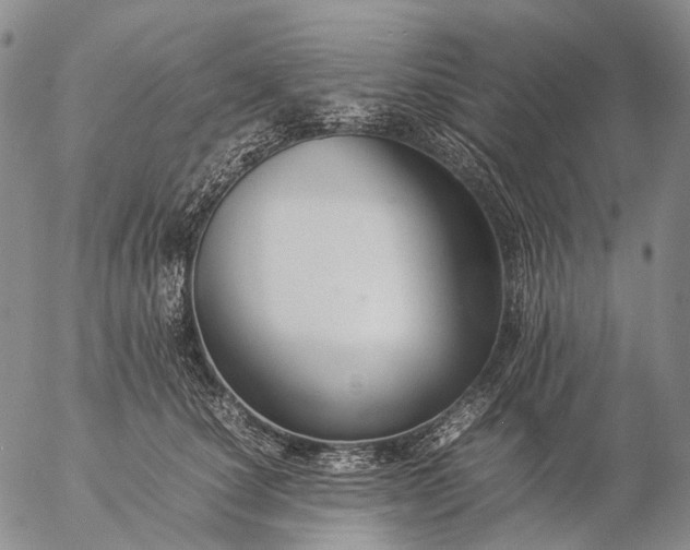 X0000057100660200509231717