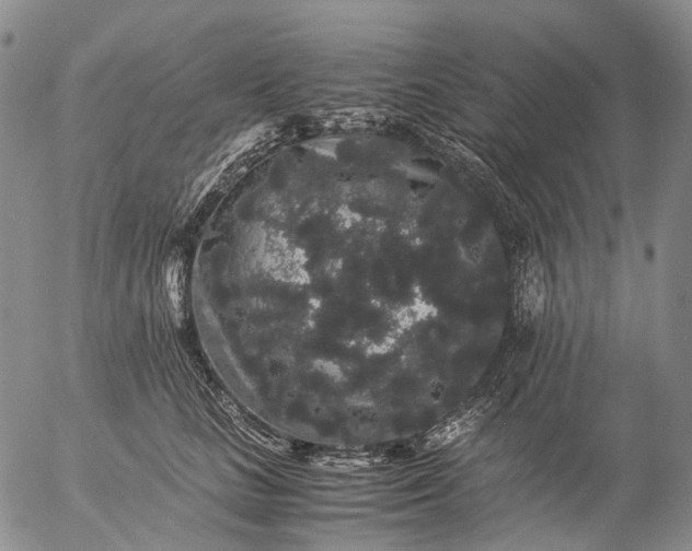 X0000057100661200509231717