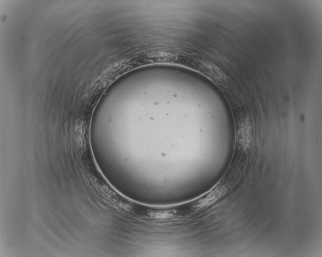 X0000057100662200509231717