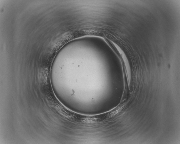 X0000057100664200509231717