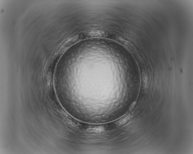 X0000057100665200509231717