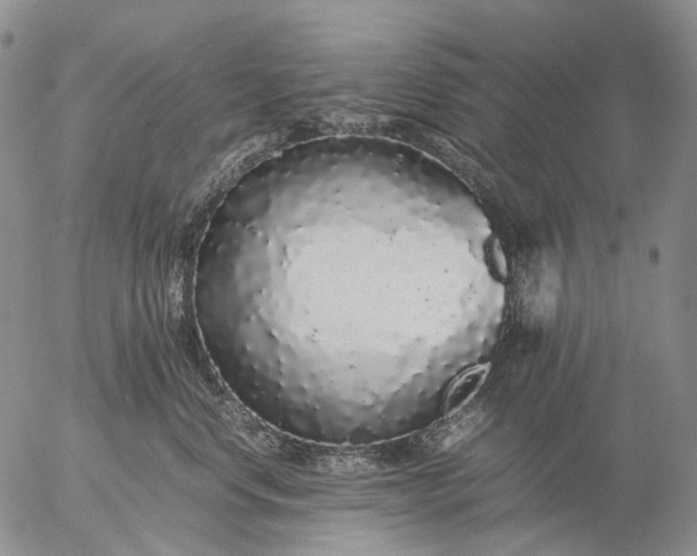 X0000057100668200509231717