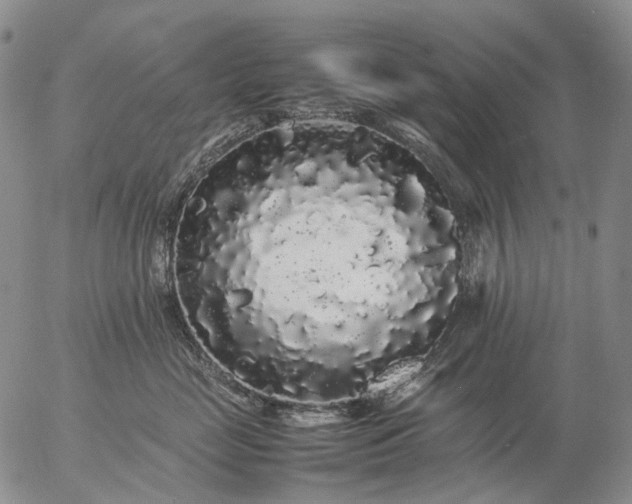 X0000057100669200509231717