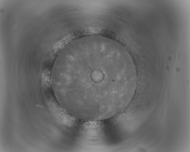 X0000057100672200509231717