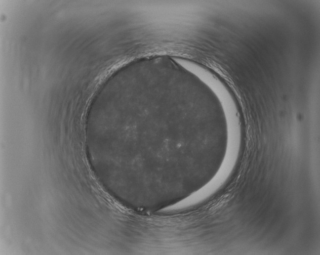 X0000057100673200509231716