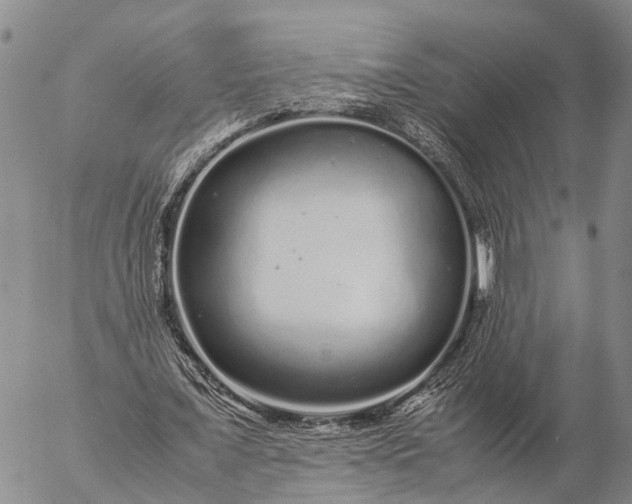 X0000057100675200509231716