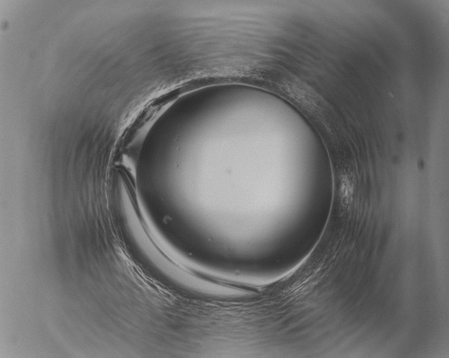 X0000057100676200509231716