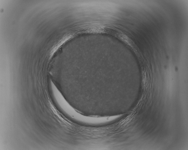 X0000057100677200509231716