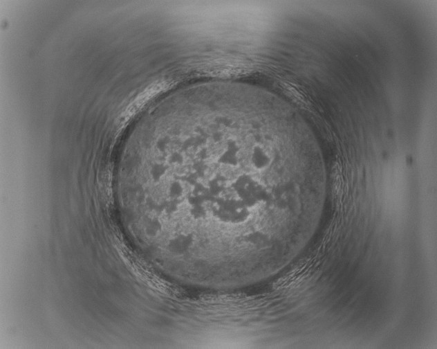 X0000057100679200509231716