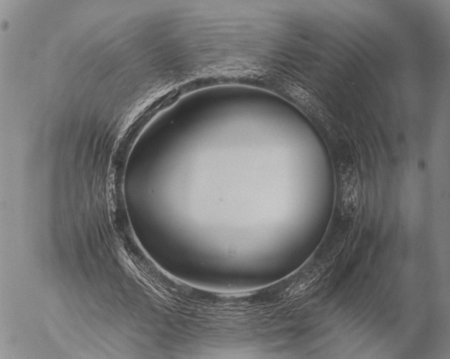 X0000057100680200509231716