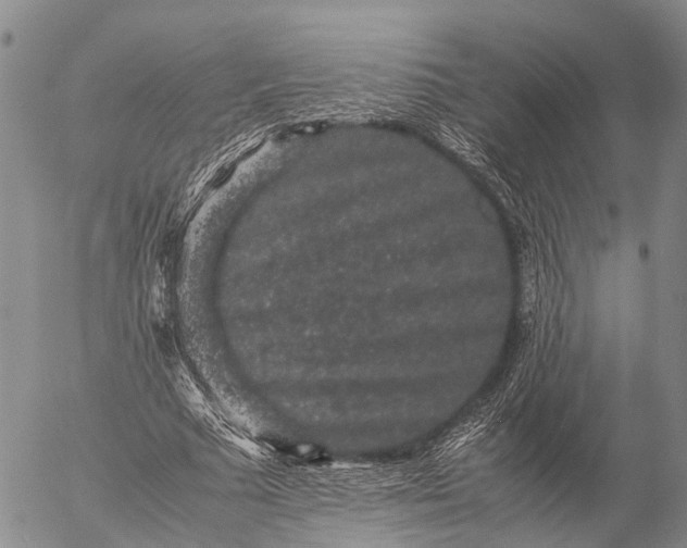 X0000057100681200509231716