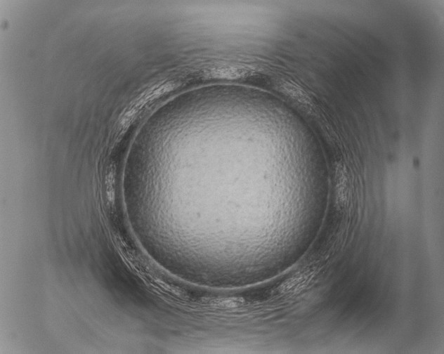 X0000057100683200509231716