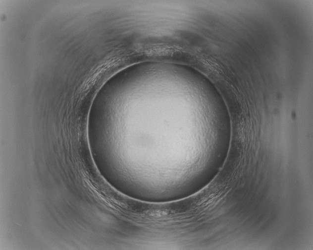 X0000057100687200509231716