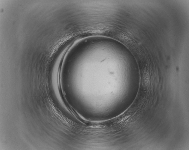 X0000057100688200509231716