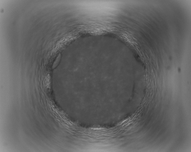 X0000057100689200509231716