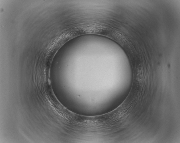 X0000057100690200509231716