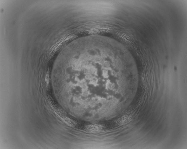 X0000057100691200509231716