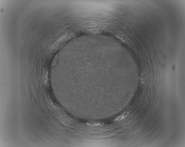 X0000057100693200509231716