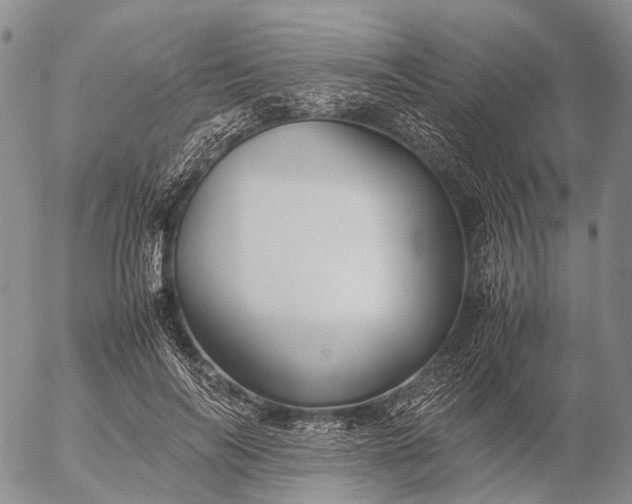 X0000057100694200509231716