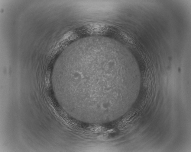 X0000057100695200509231716