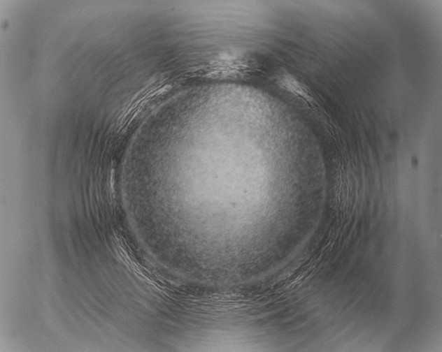 X0000057100696200509231716