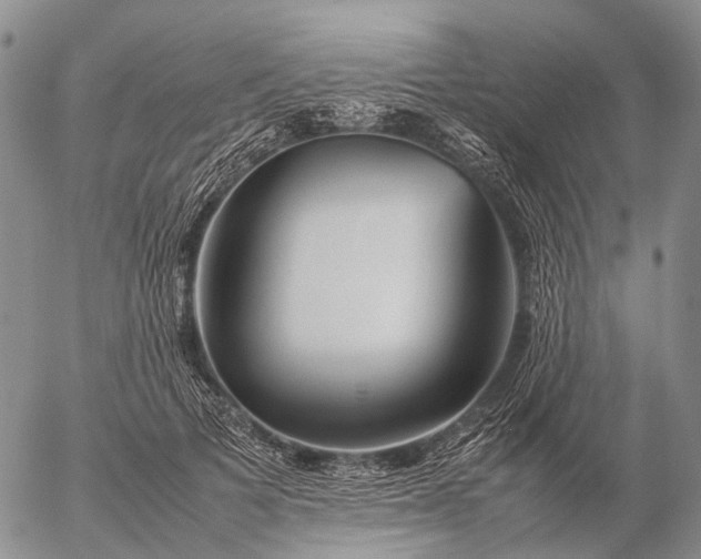 X0000057100697200509231716