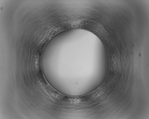 X0000057100698200509231716