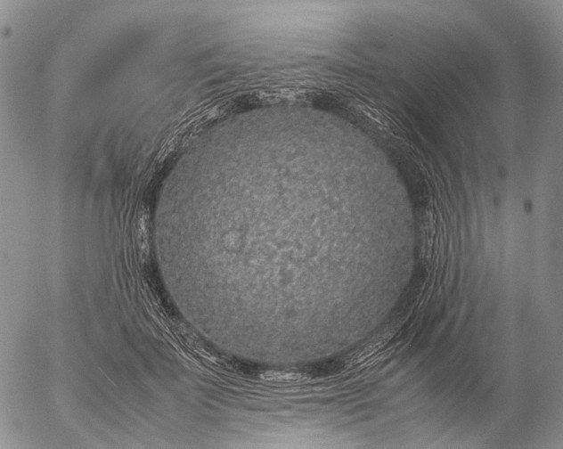 X0000057100699200509231716