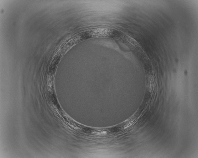 X0000057100701200509231716