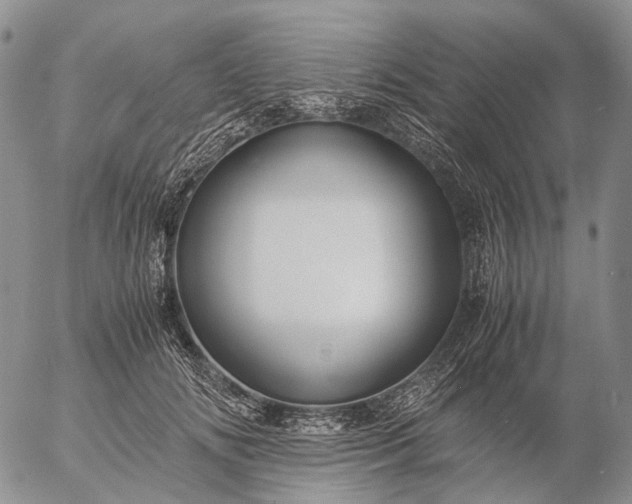 X0000057100702200509231716