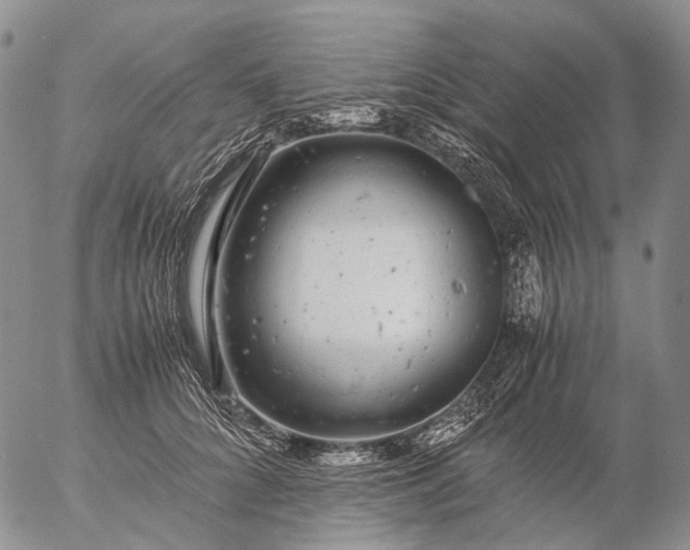 X0000057100704200509231716