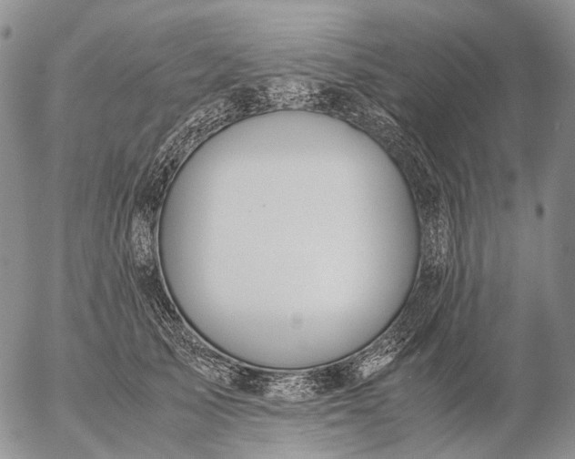 X0000057100705200509231716