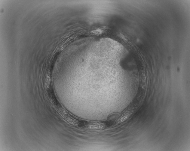 X0000057100707200509231716