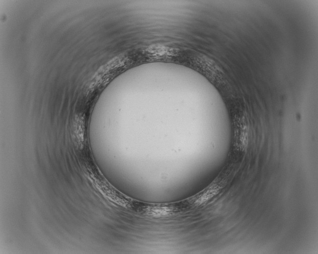 X0000057100710200509231716