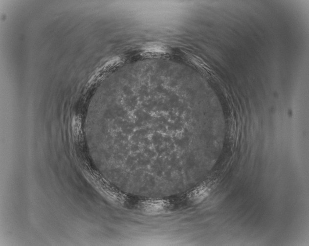 X0000057100711200509231716