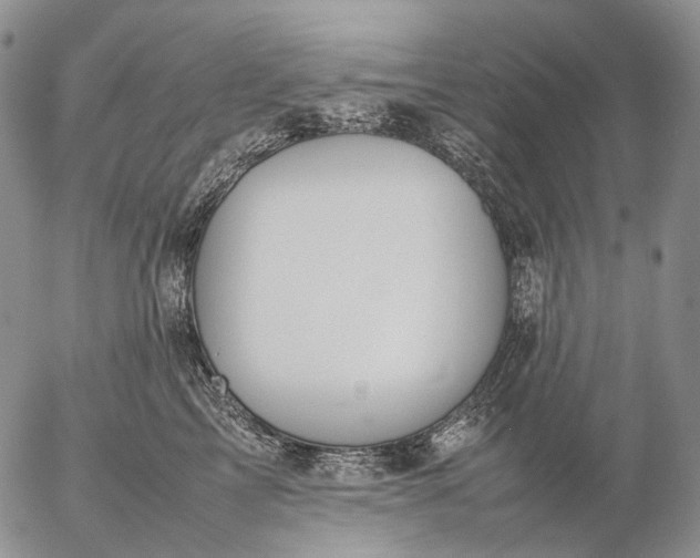 X0000057100713200509231716