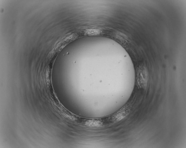 X0000057100714200509231716