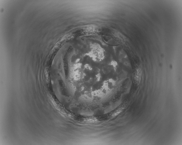 X0000057100715200509231716