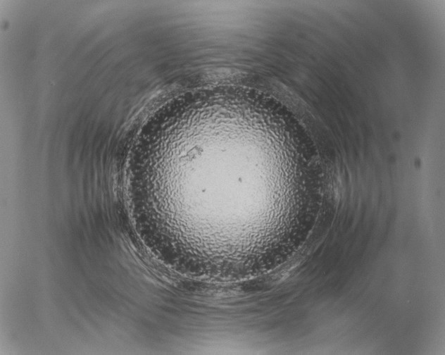 X0000057100716200509231716