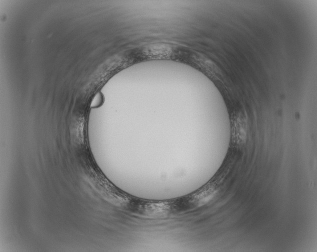 X0000057100717200509231716